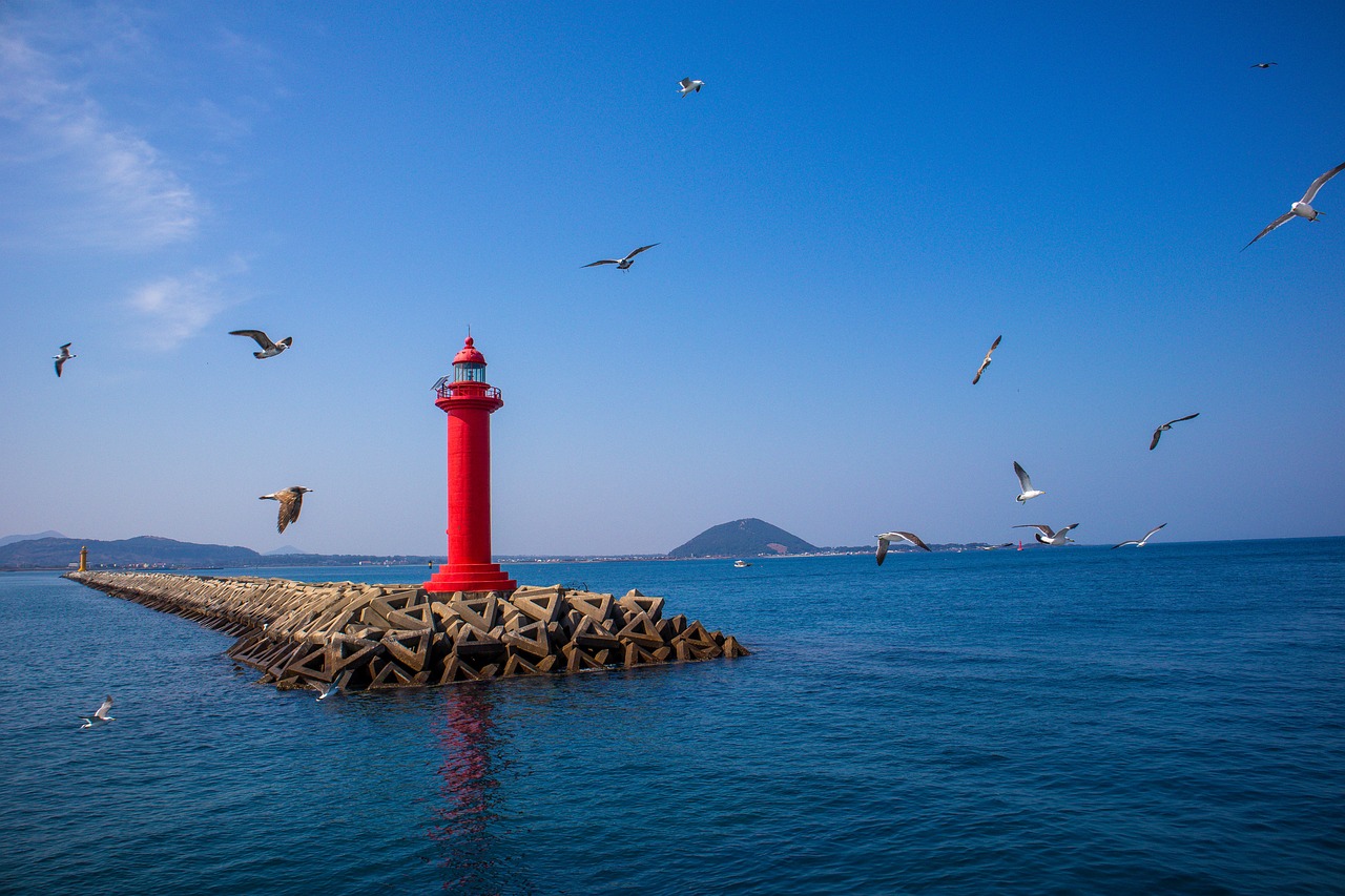 제주도 수영장호텔