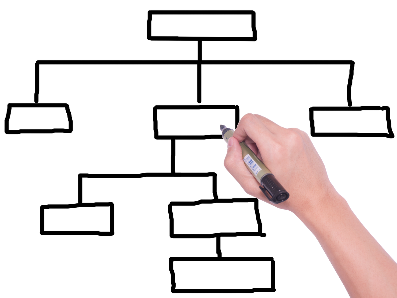 중고차리스사이트