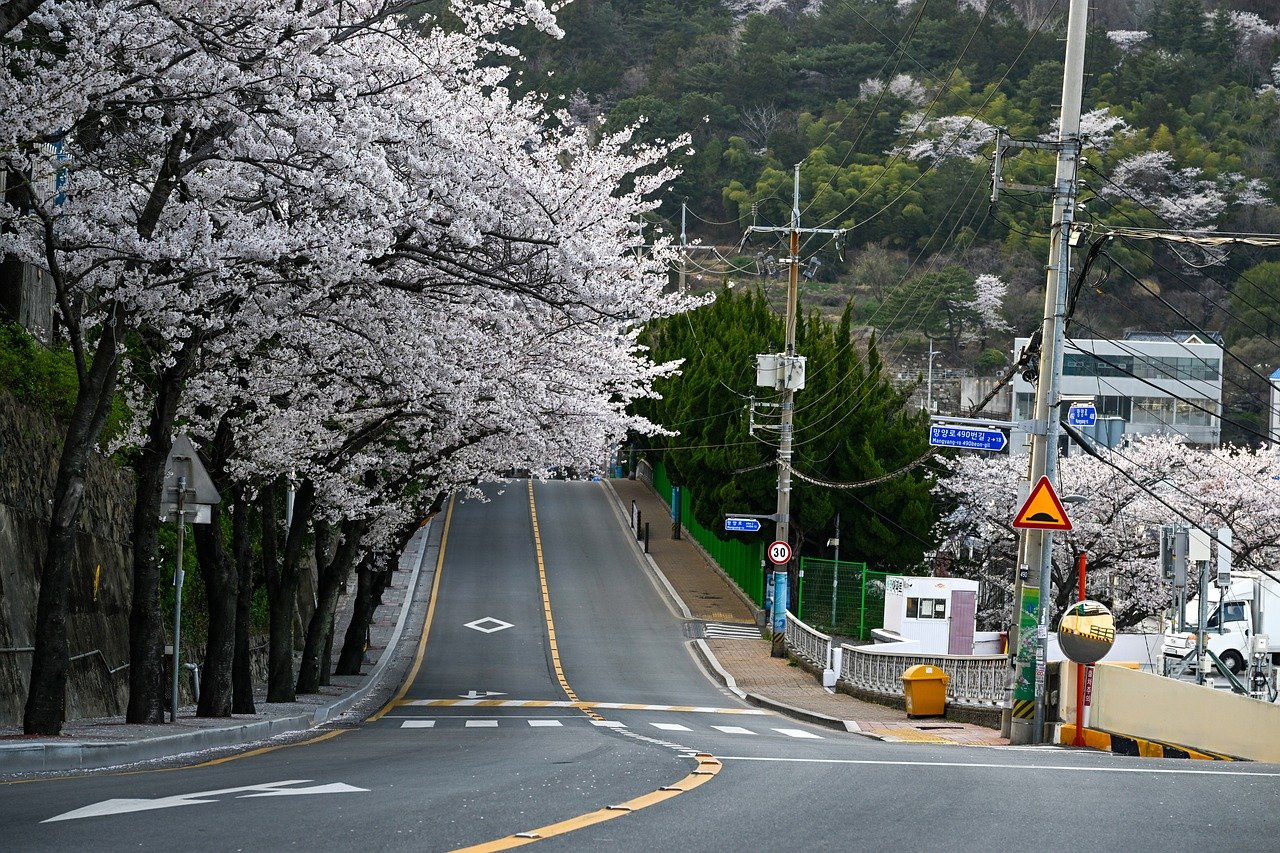 부산리스