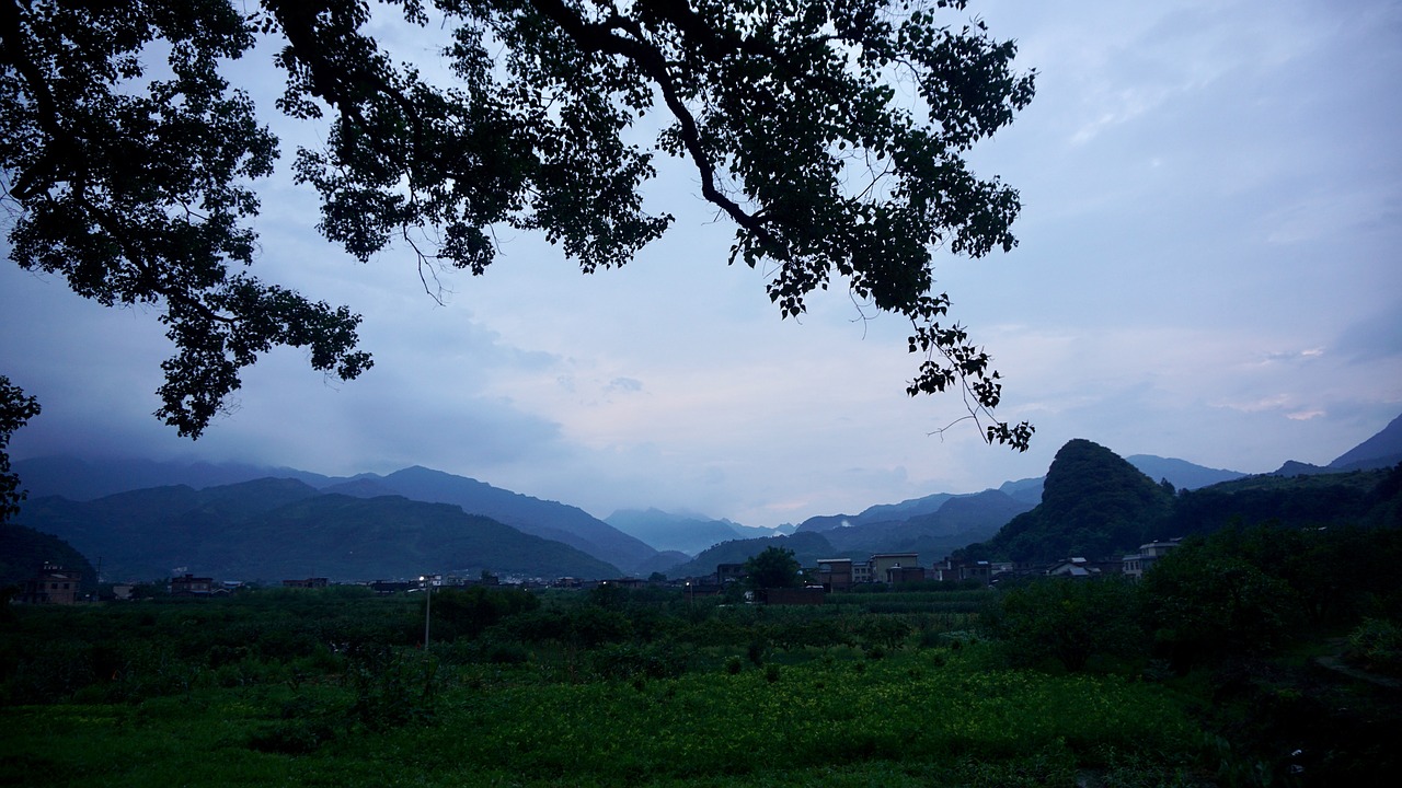 군산장기렌트