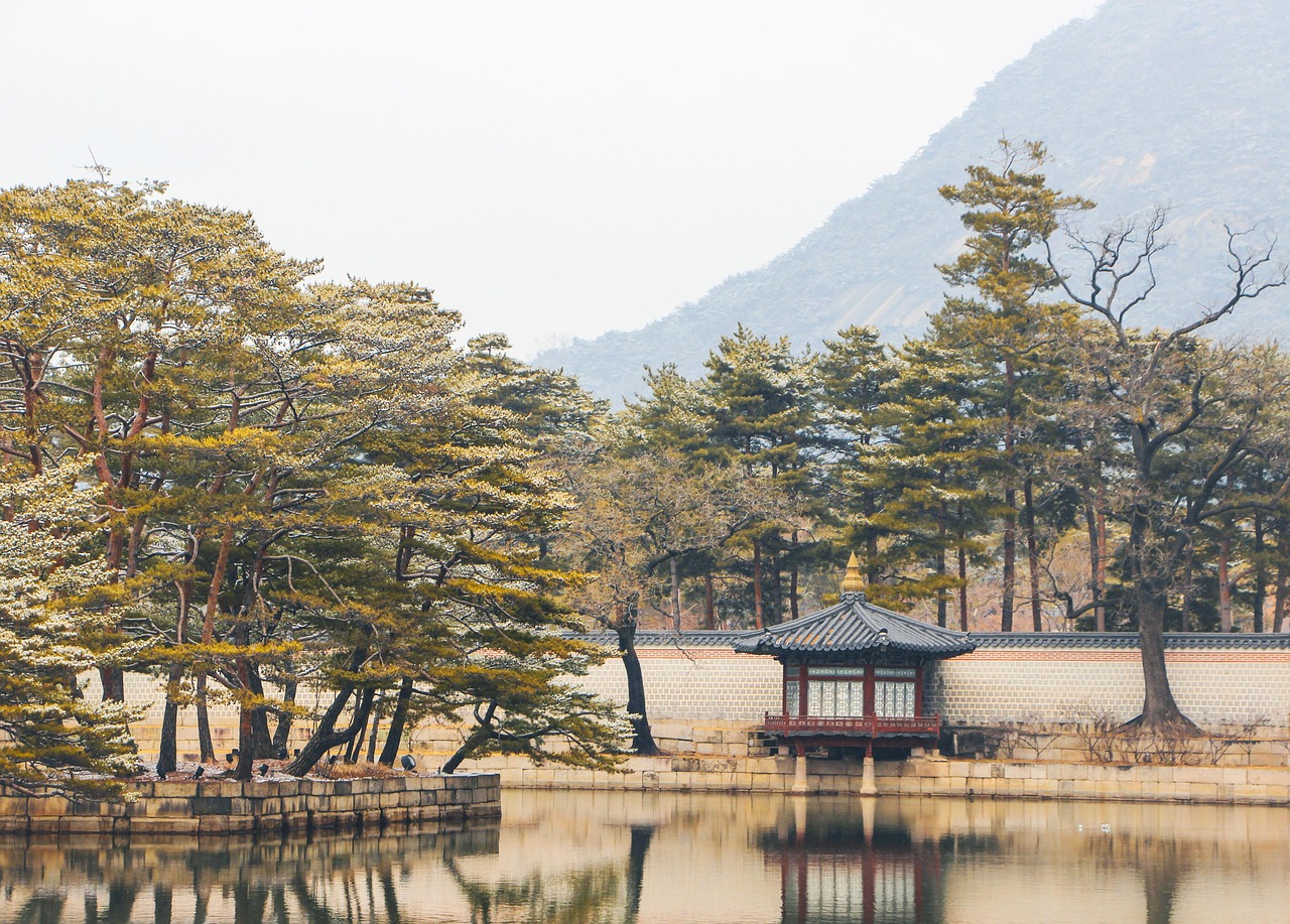 서울단기렌트카
