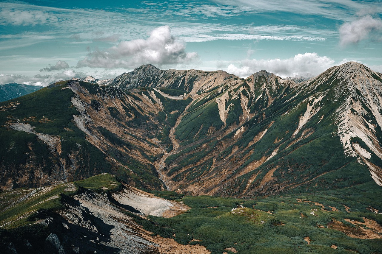 부산리스