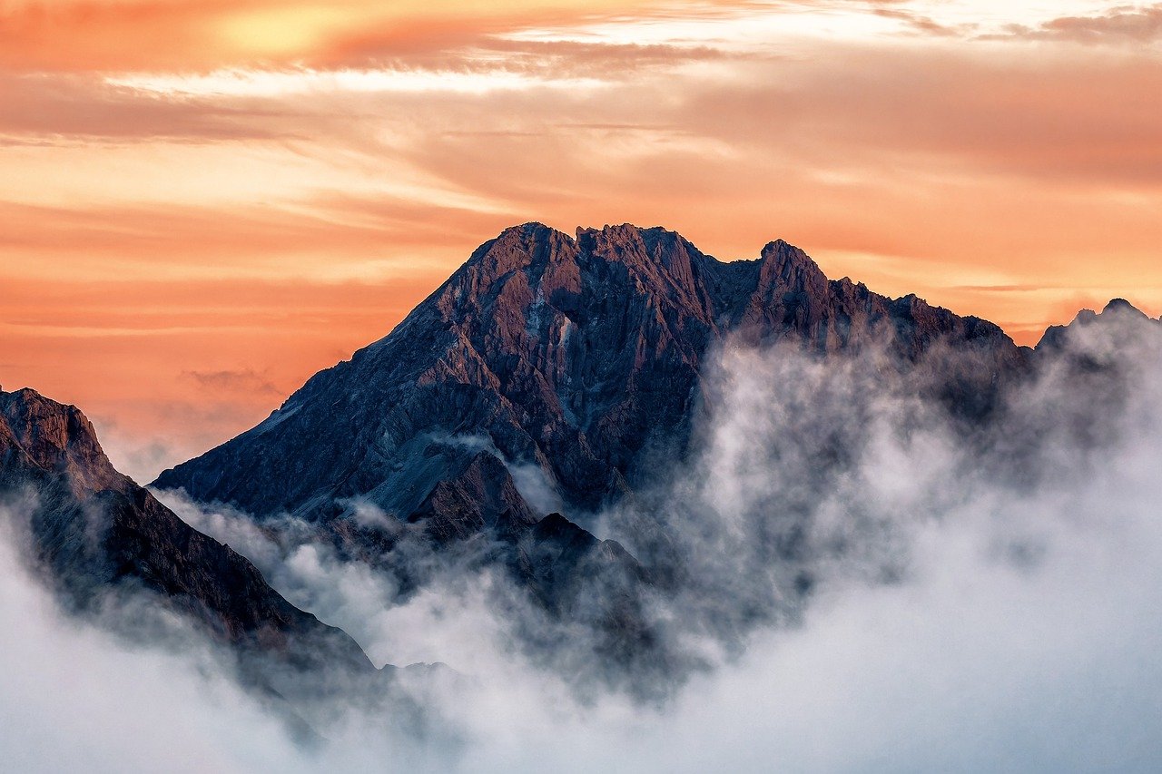 부산신차장기렌트