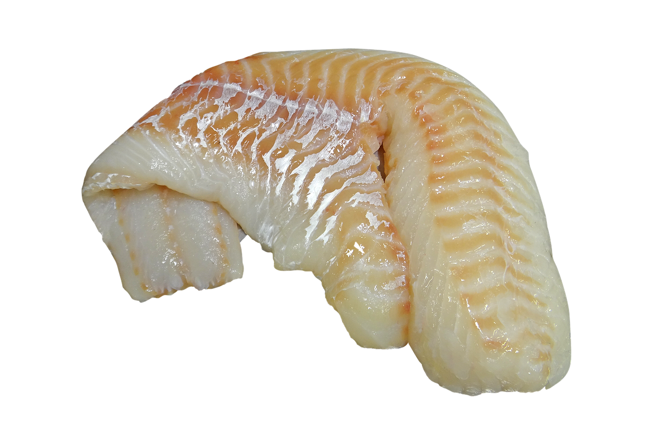 대구수입차렌트