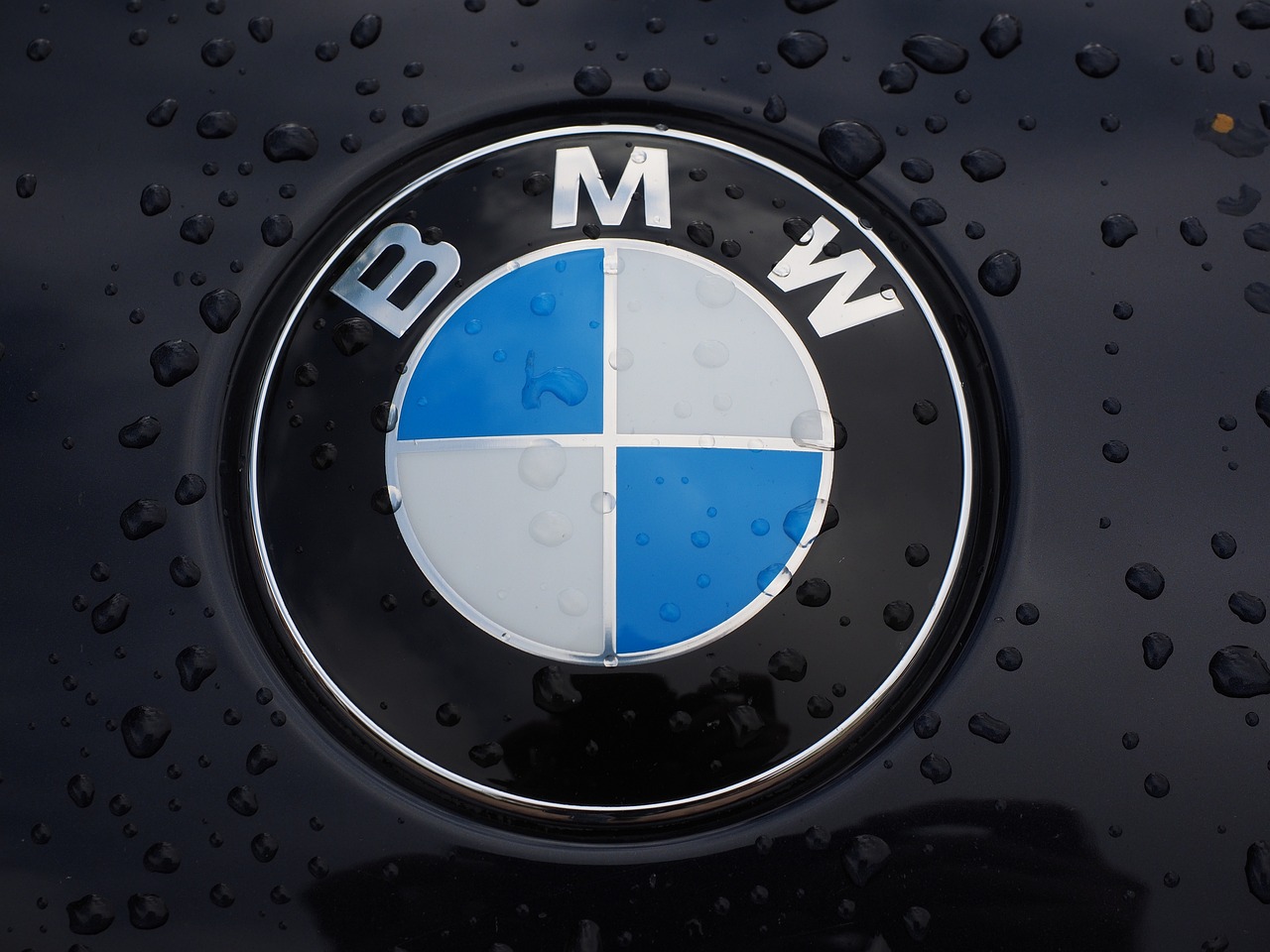 BMW장기렌트카