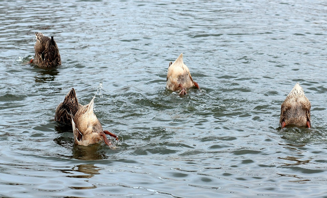 저신용신차할부