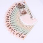 만 20세 장기렌트 차량 이용 꿀팁
