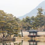 서울한달렌트카 이용 시 알아두면 좋은 꿀팁