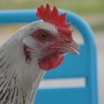 저렴한 장기렌트 차량 선택 방법 살펴보기