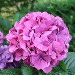 제주도 수영장 호텔 추천 리스트 살펴보기