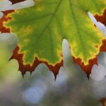 한정식집 추천 리스트 살펴보기