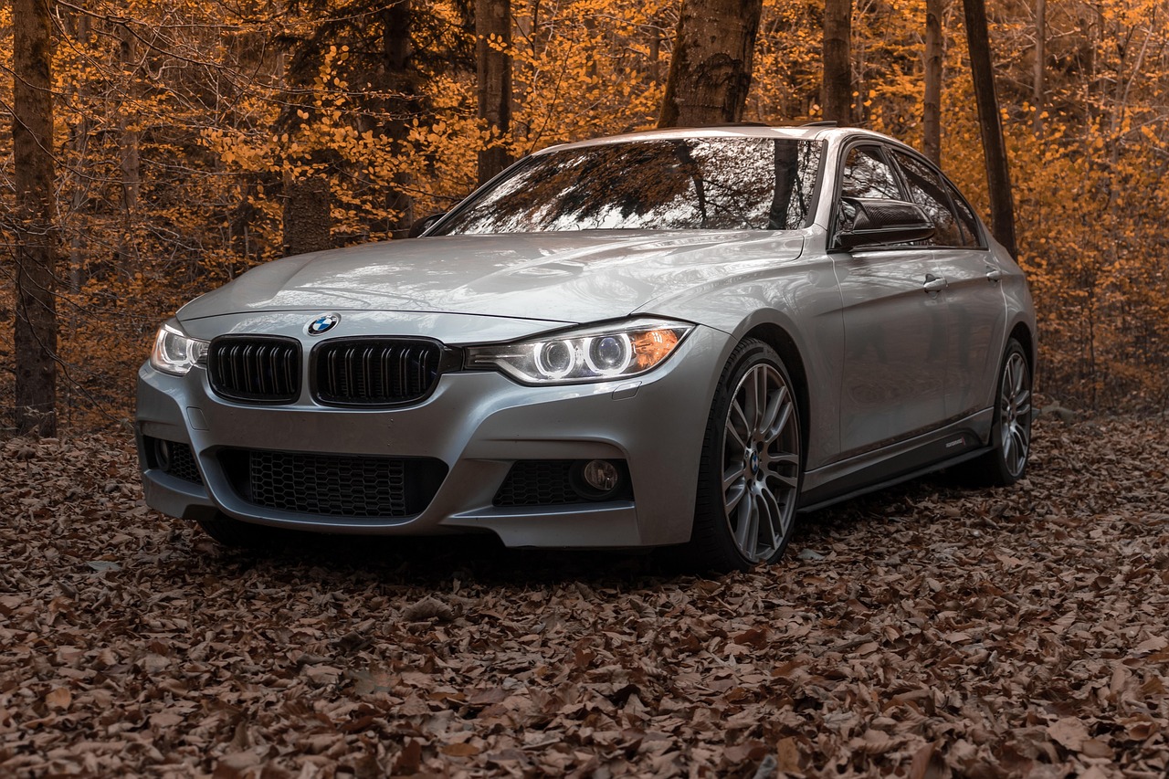 BMW미니프로모션